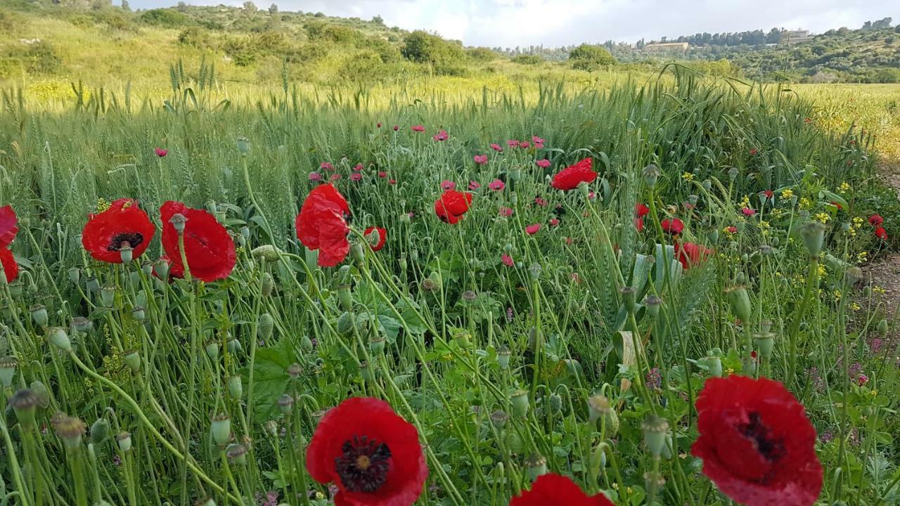 Hemdatya Stone Suites In The Galilee Ilaniya Exteriör bild